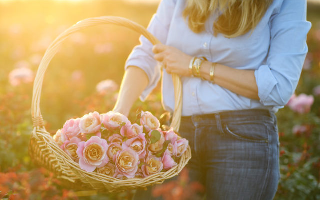 Basket of taupe roses at sunset