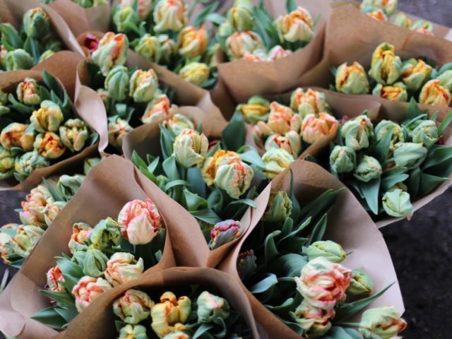 Bouquets of tulips wrapped in paper
